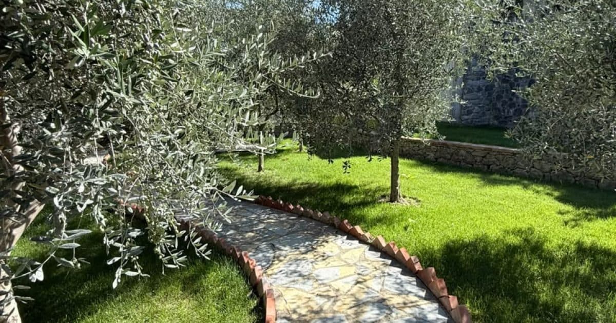 Vila me qira Rrogozhine, Rrogozhinë