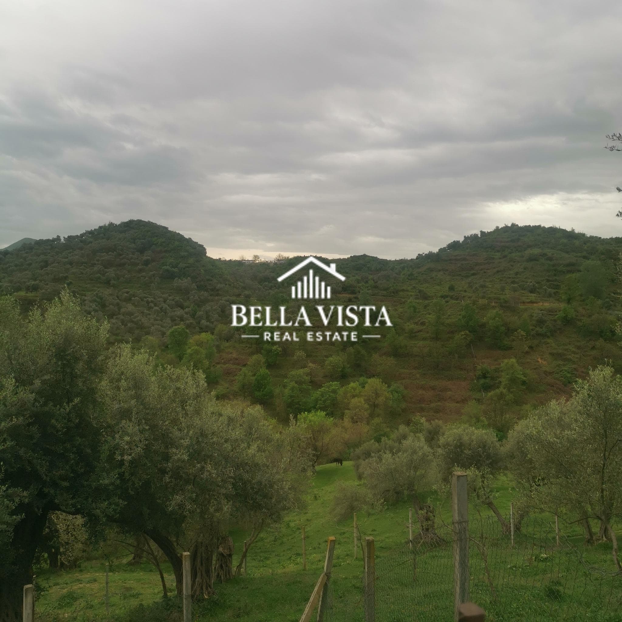 TOKË ULLISHTE NË MJULL BATHORE 2