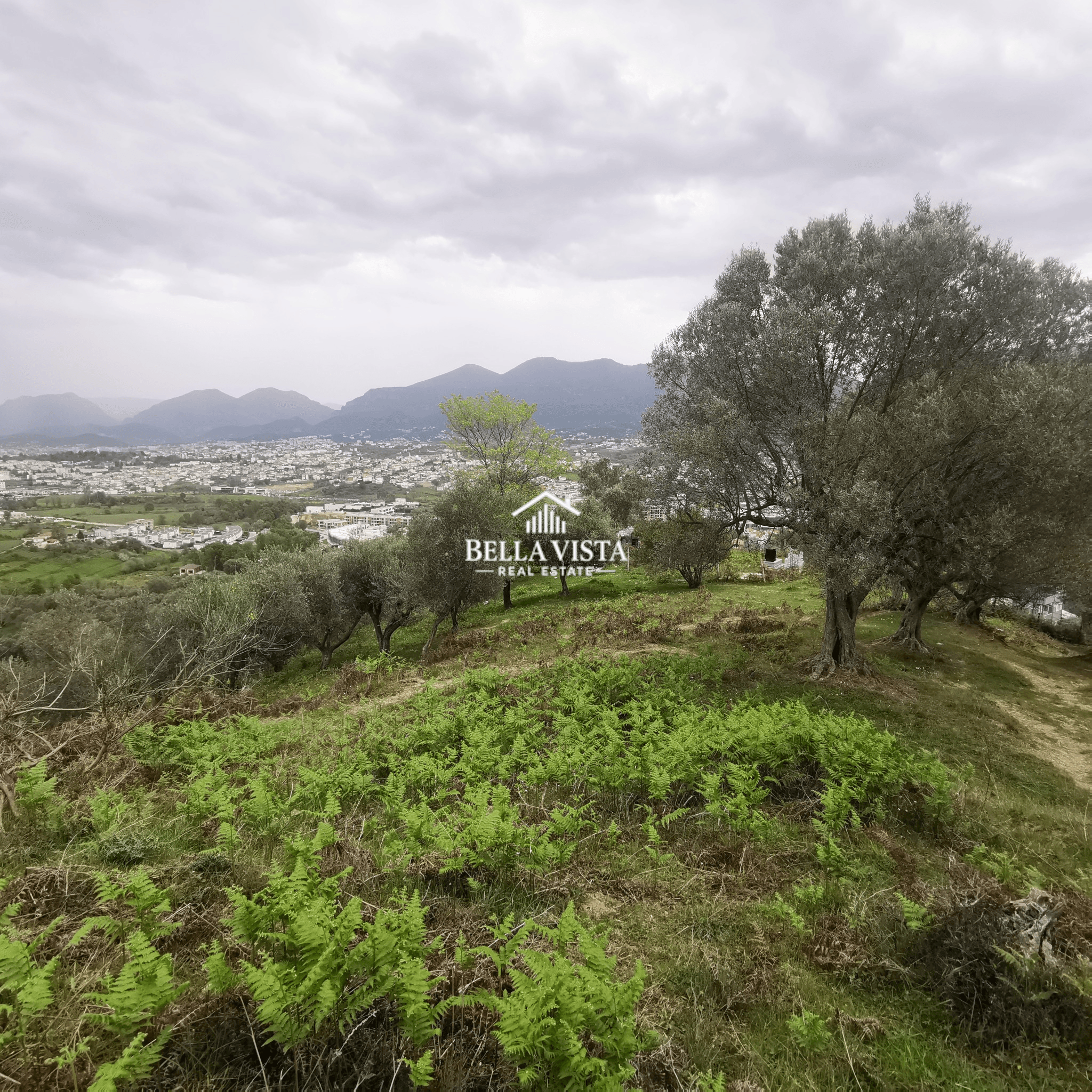 TOKË PËR NDËRTIM VILASH LUKSOZE NË MJULL BATHORE 3
