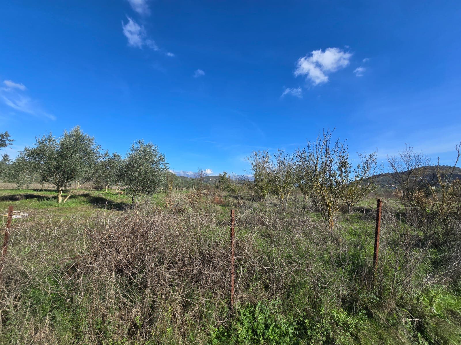 Land for sale in Tiranë 1