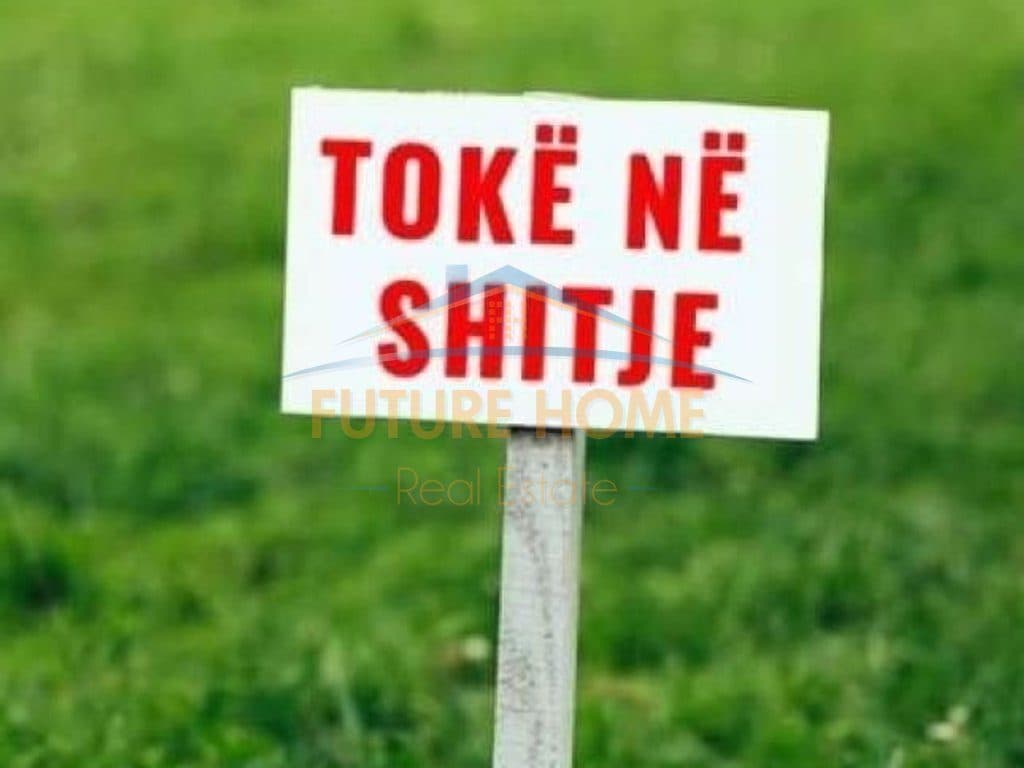 Shitet, Tokë, Sauk