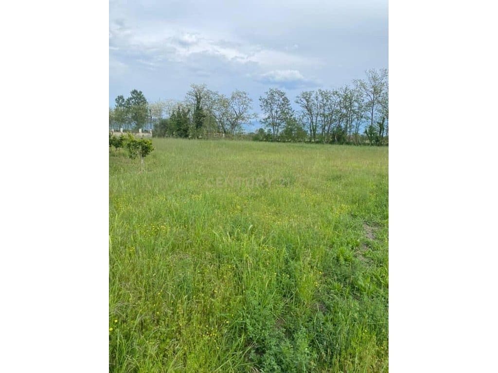 Land for Sale on Lezha Island | 2000 m²