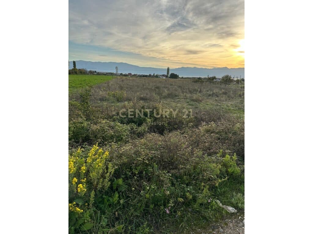 Arable land for sale in Vrakë, Shkodër - 5000 m² 3