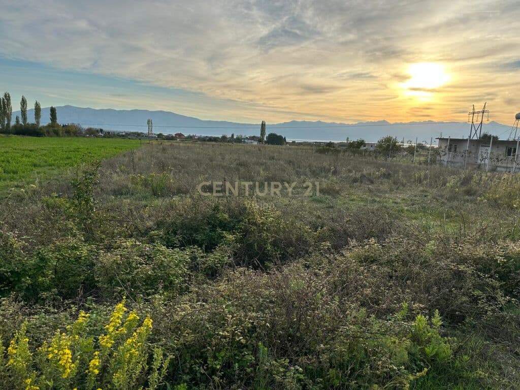 Arable land for sale in Vrakë, Shkodër - 5000 m² 2