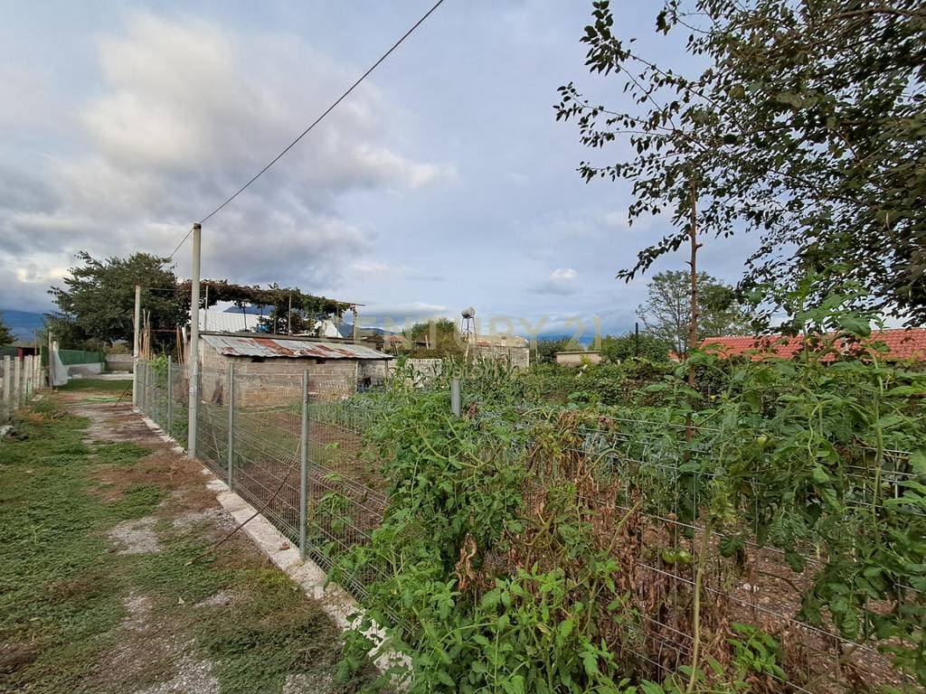Shtëpi private + toke Në Shitje në Boric i Vogel, Shkodër | 2225 m² 3