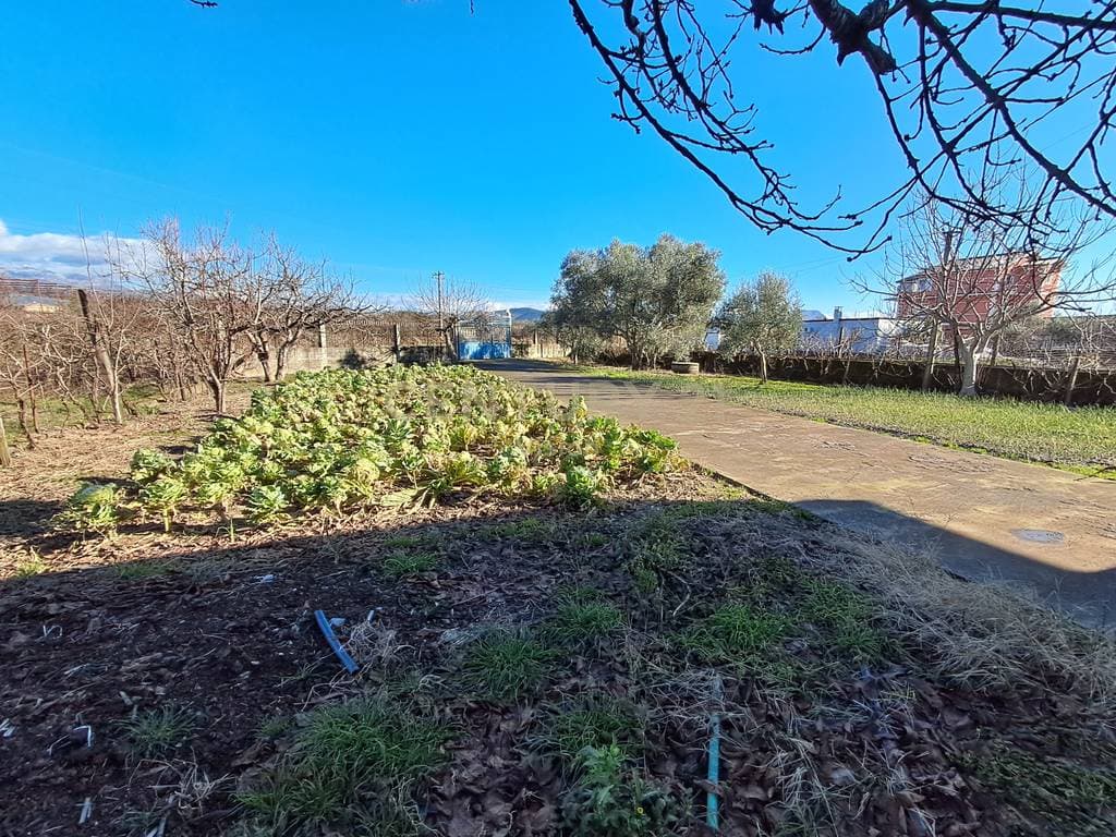 Shtepi 2-kateshe + toke per shitje ne golem, Shkoder - 1600 m2 3