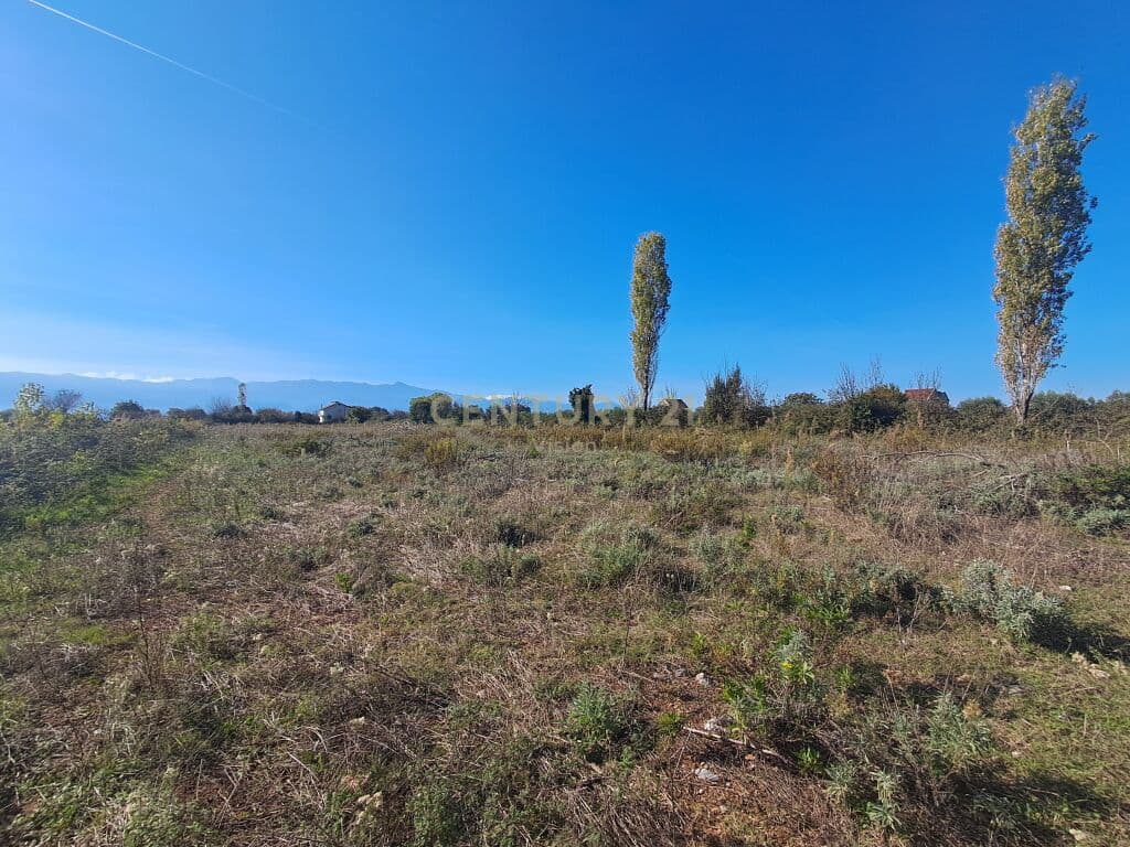 Land for sale in Vraka, Malësi e Madhe - 7000 m² 3