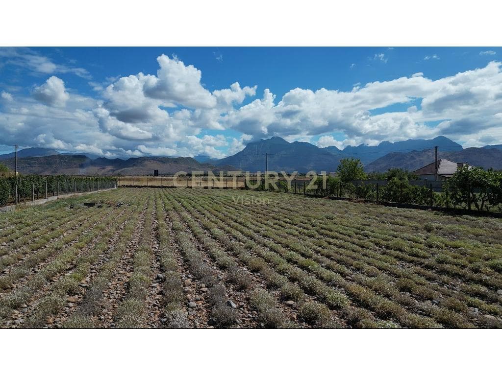 Tokë për Shitje në Koplik, Malesi e Madhe- 18€ | 2500 m² 1