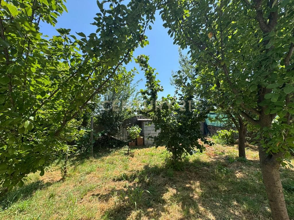 Shtëpi private + toke për shitje në Golem, Shkodër | 1000 m² 3