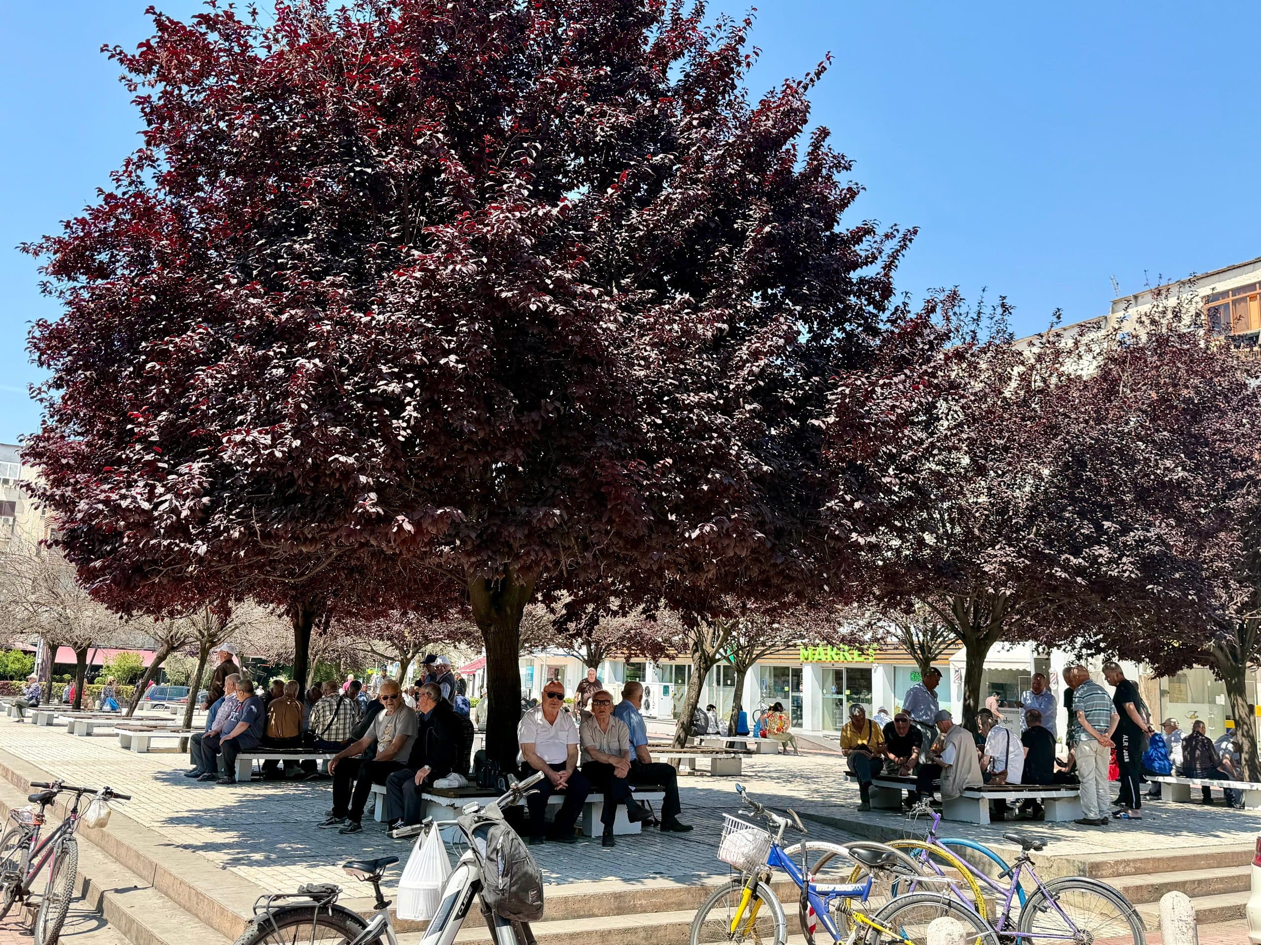 AMBIENT PER QIRA 📍 Xhamllik 2