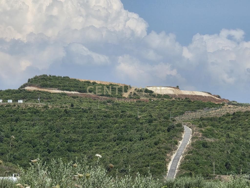Premium land for sale in the heart of Spillesë 4