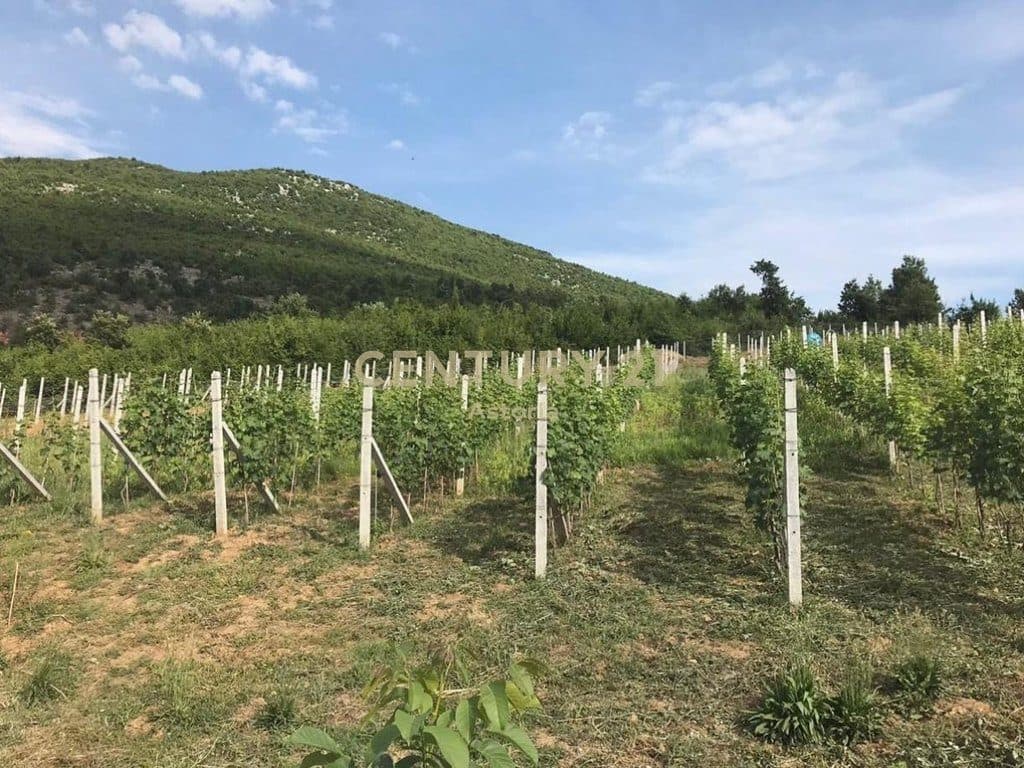 SHITET KOMPLEKS ME VRESHT, KANTINË VERE, RESTORANT DHE AKOMODIM – 13,200 M² NË BYSHEK, ELBASAN 4