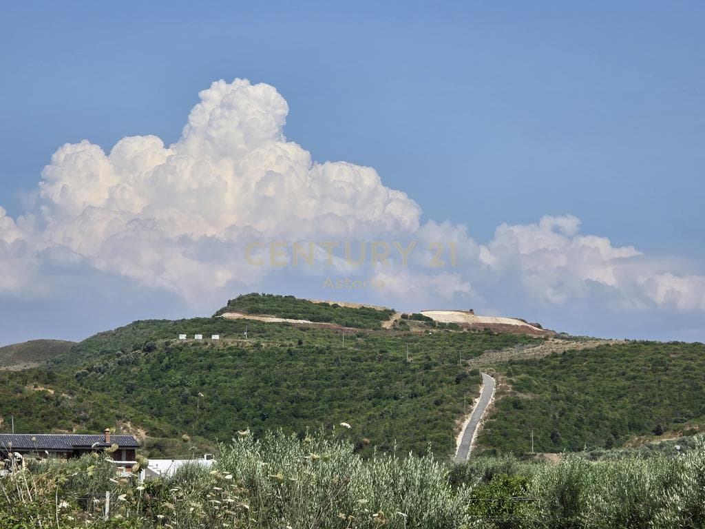 Premium land for sale in the heart of Spillesë 2