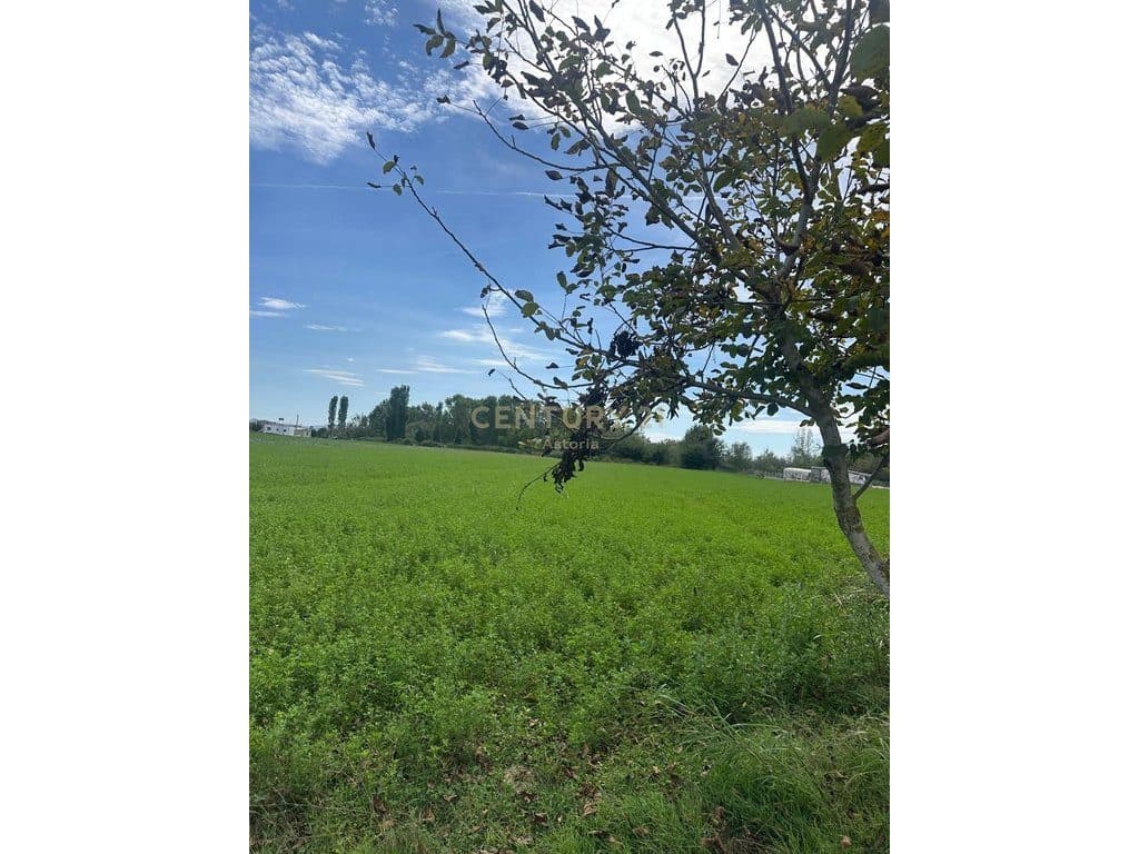 LAND FOR SALE 96000 M2 IN SUKTH
