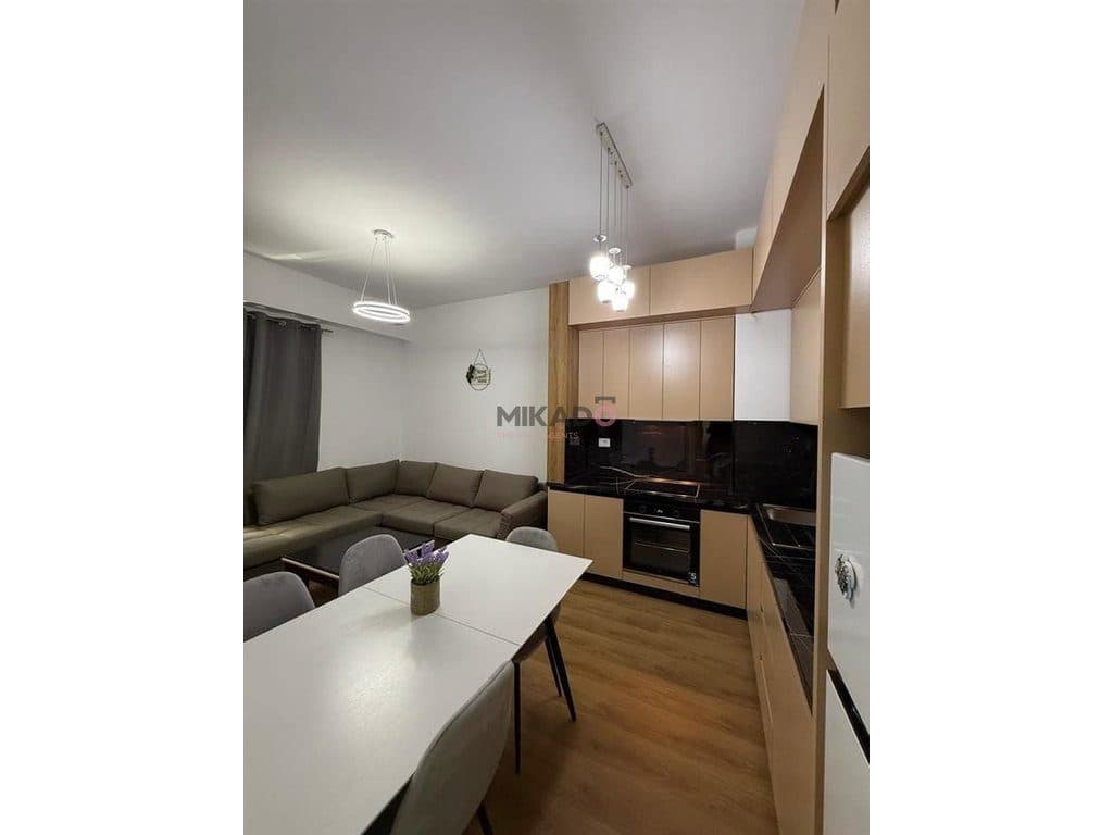 Apartament 2+1 me qira – Ali Demi ! 2