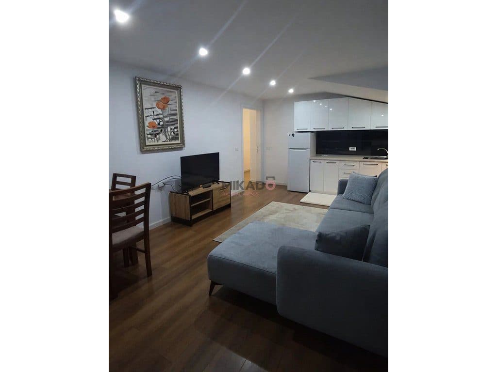 Jepet Apartament me Qira 1+1 - Globe - Rr. e Kavajes !