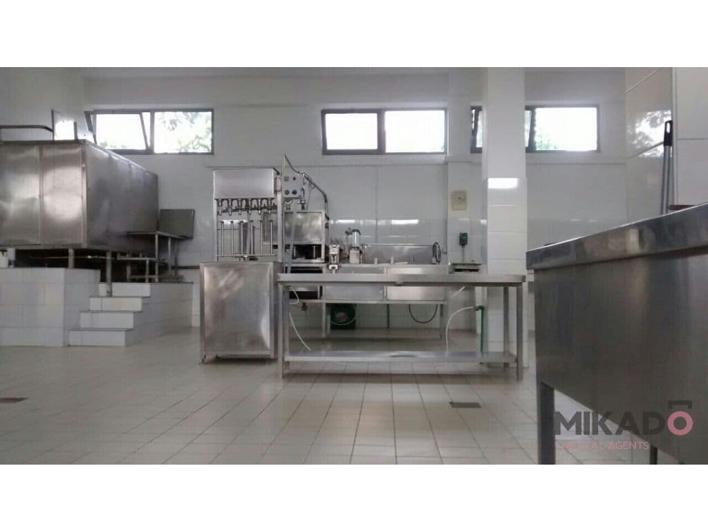 SHITET FABRIKE NE ELBASAN!