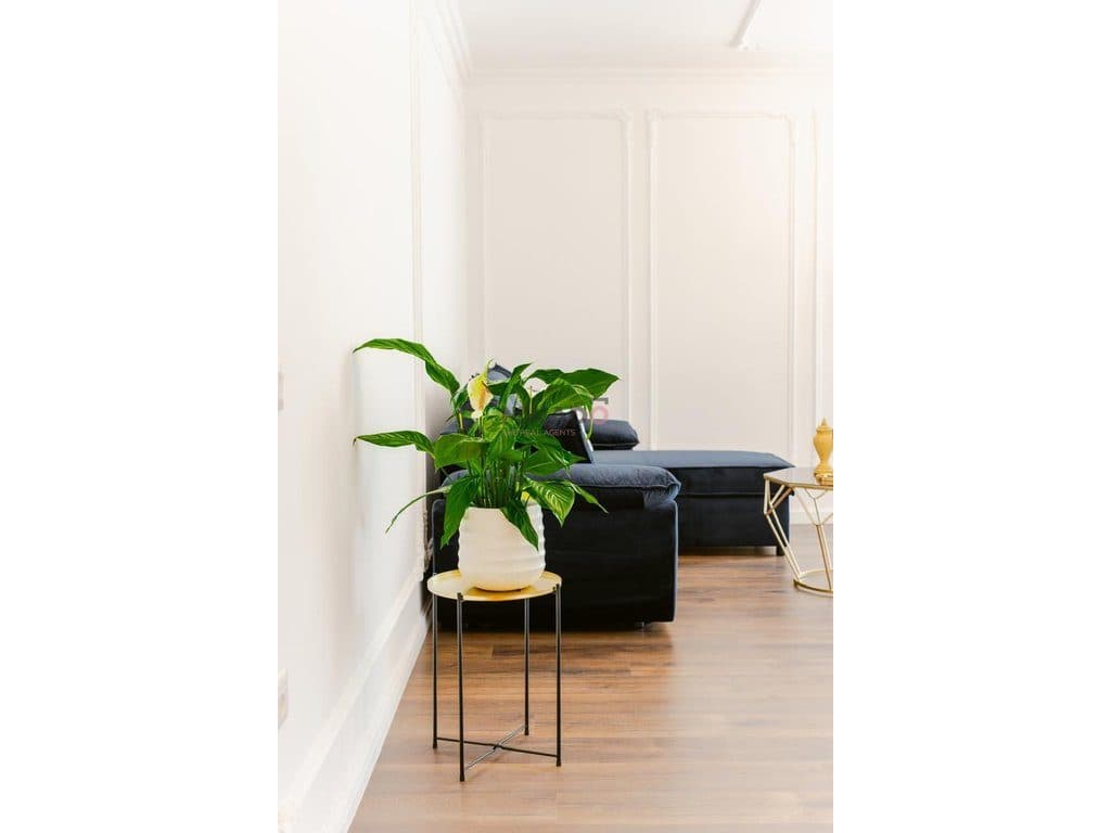 Jepet me Qira Apartament 1+1 – Astir (afër Vilës L)! 4
