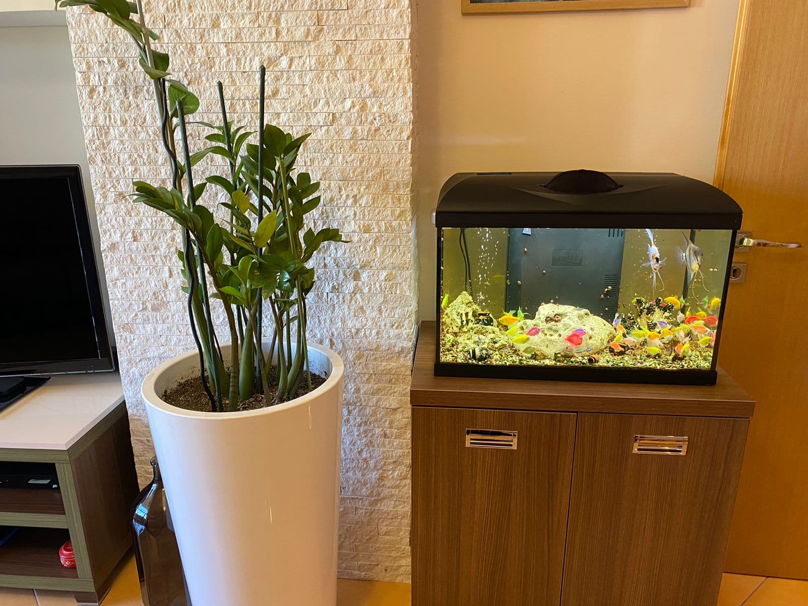 Shitet apartament 1+1 ne Durres! 2