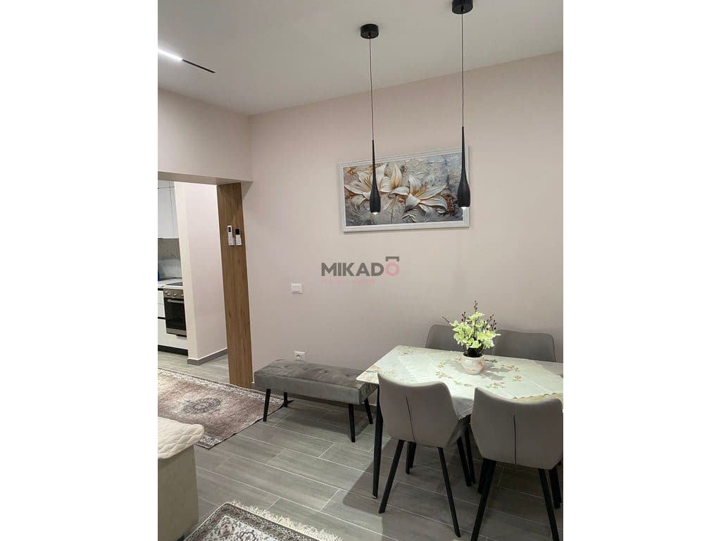 Apartament 1+1 me qira – Pranë Linceut, Rruga e Elbasanit ! 3