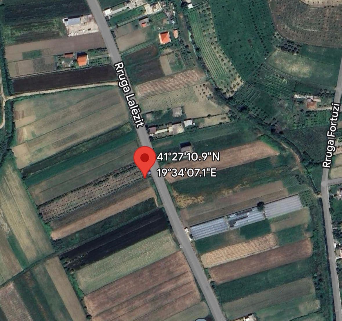 SHITET TOKË NË SHKALLË , GJIRI LALZIT!