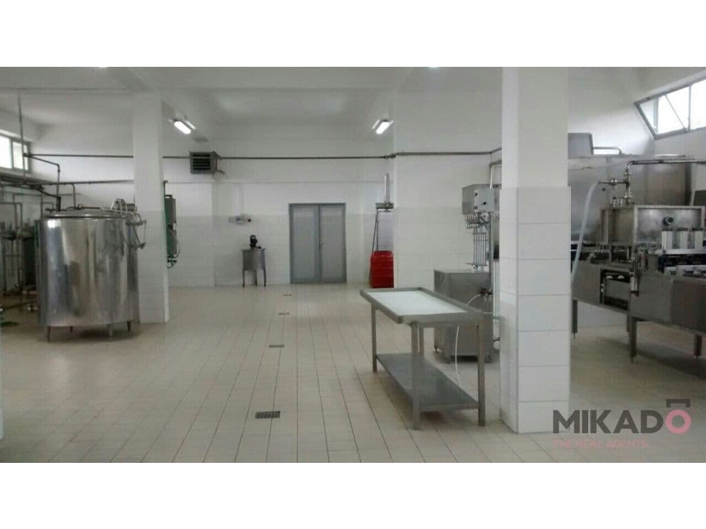 SHITET FABRIKE NE ELBASAN! 2
