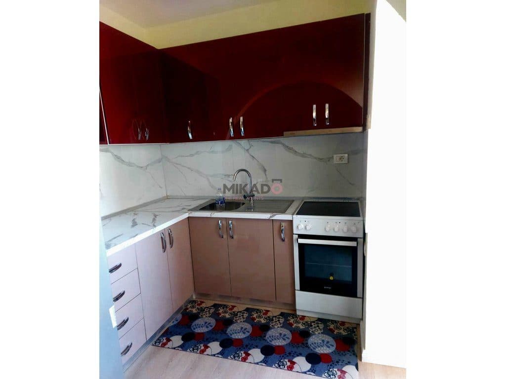 Jepet Apartament 1+1 me qira – Ali Demi ! 2