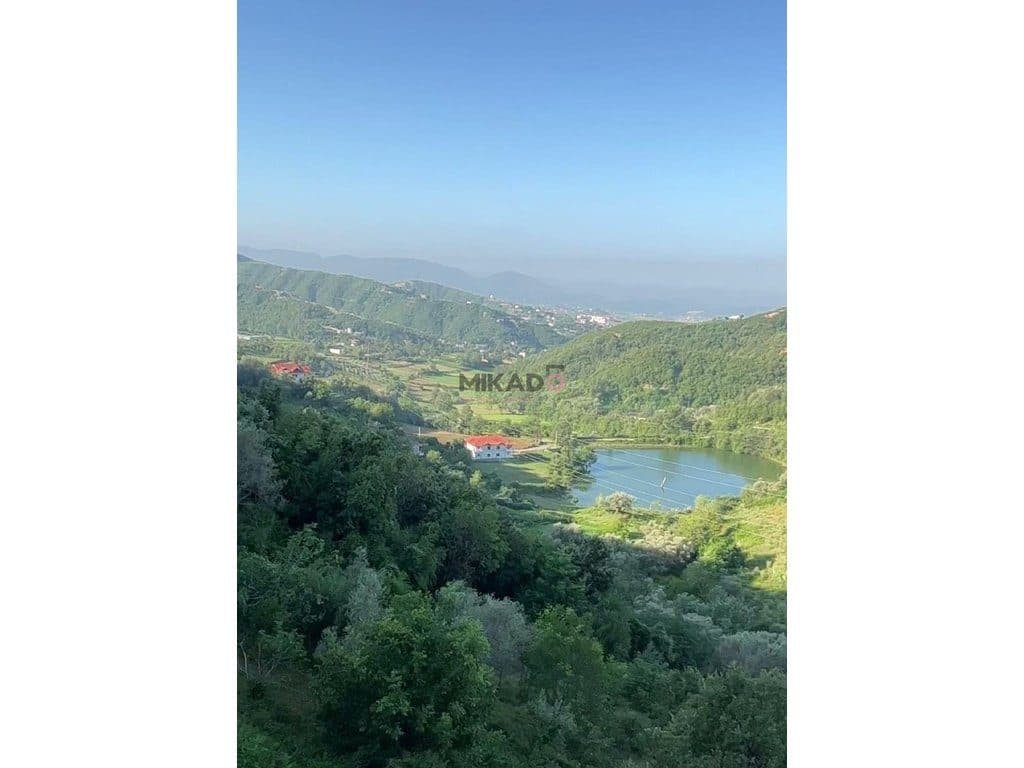 Shitet Resort ne Dajt!