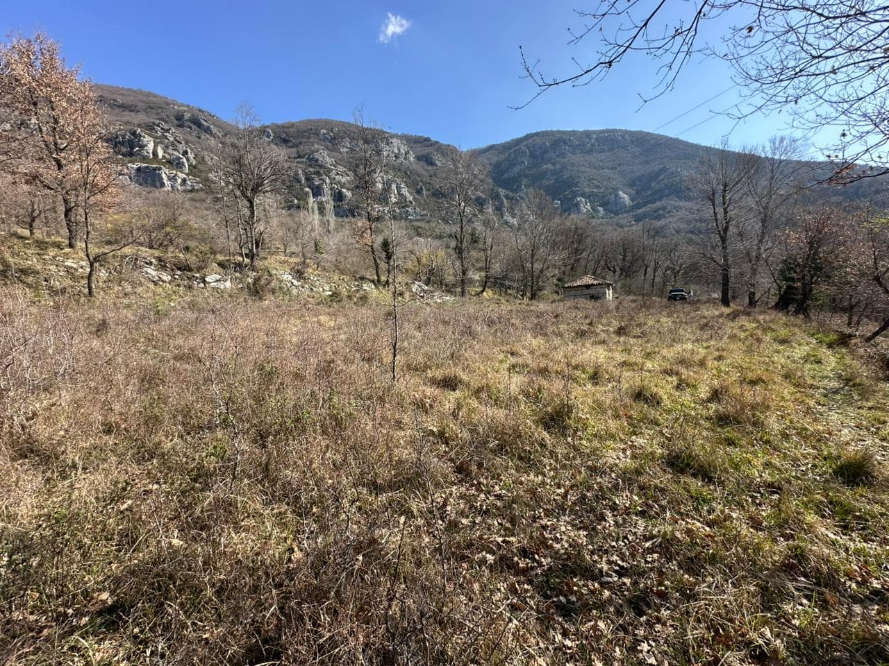 Tokë Për Shitje në Linzë, Tiranë - 90,000€ | 1200 m² 2