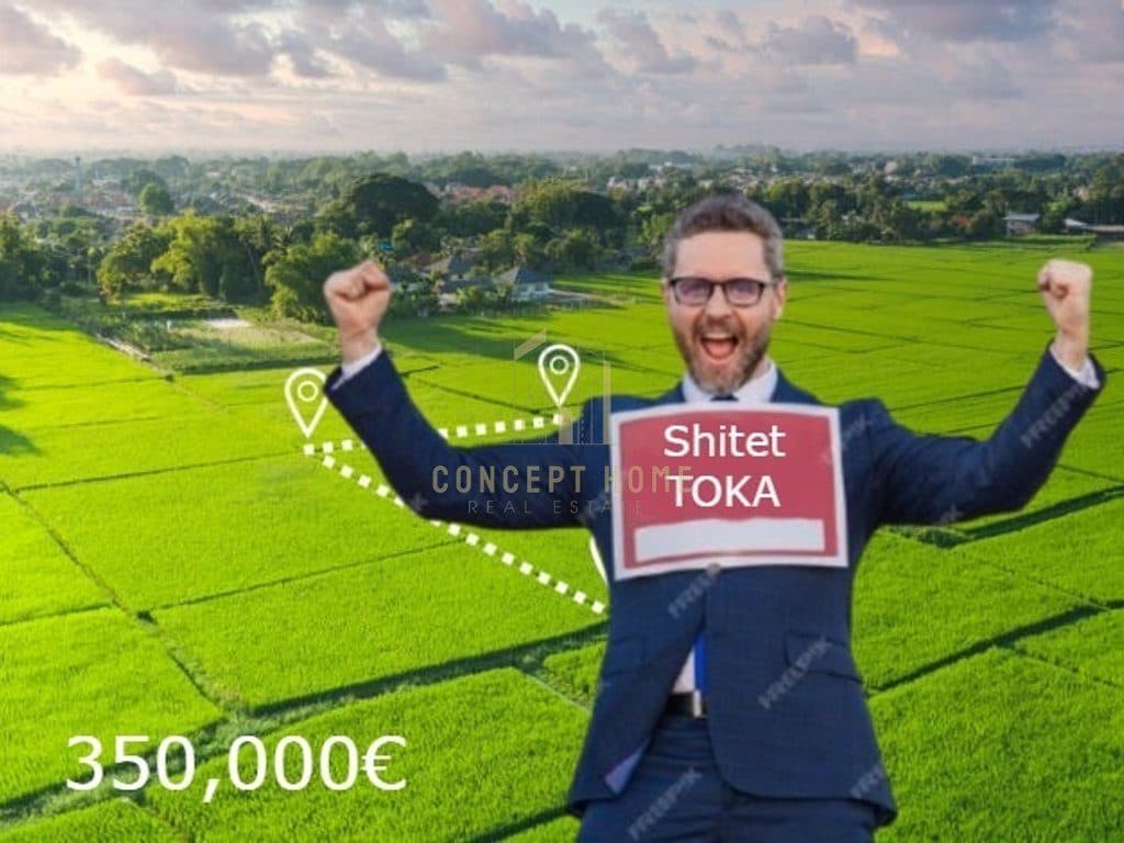 Shitet toke ne Mezez