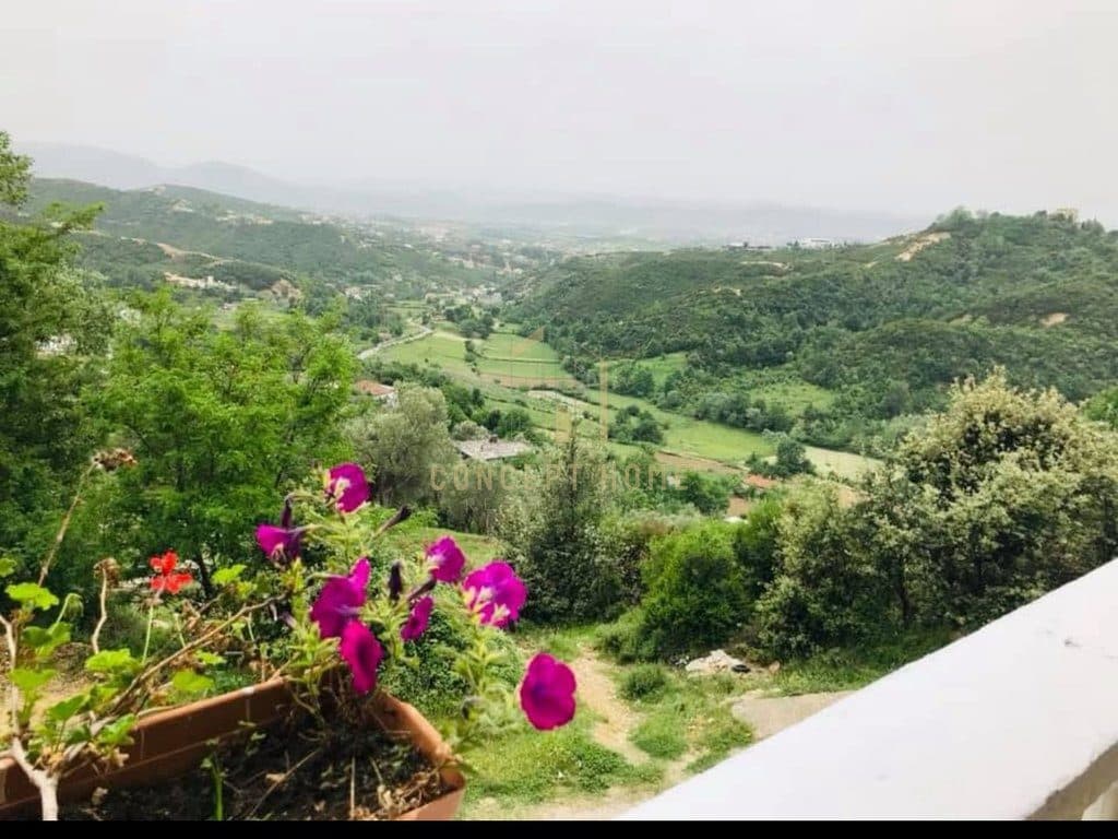 Jepet me qera Bar Restorant , Ne rrugen e Dajtit 2