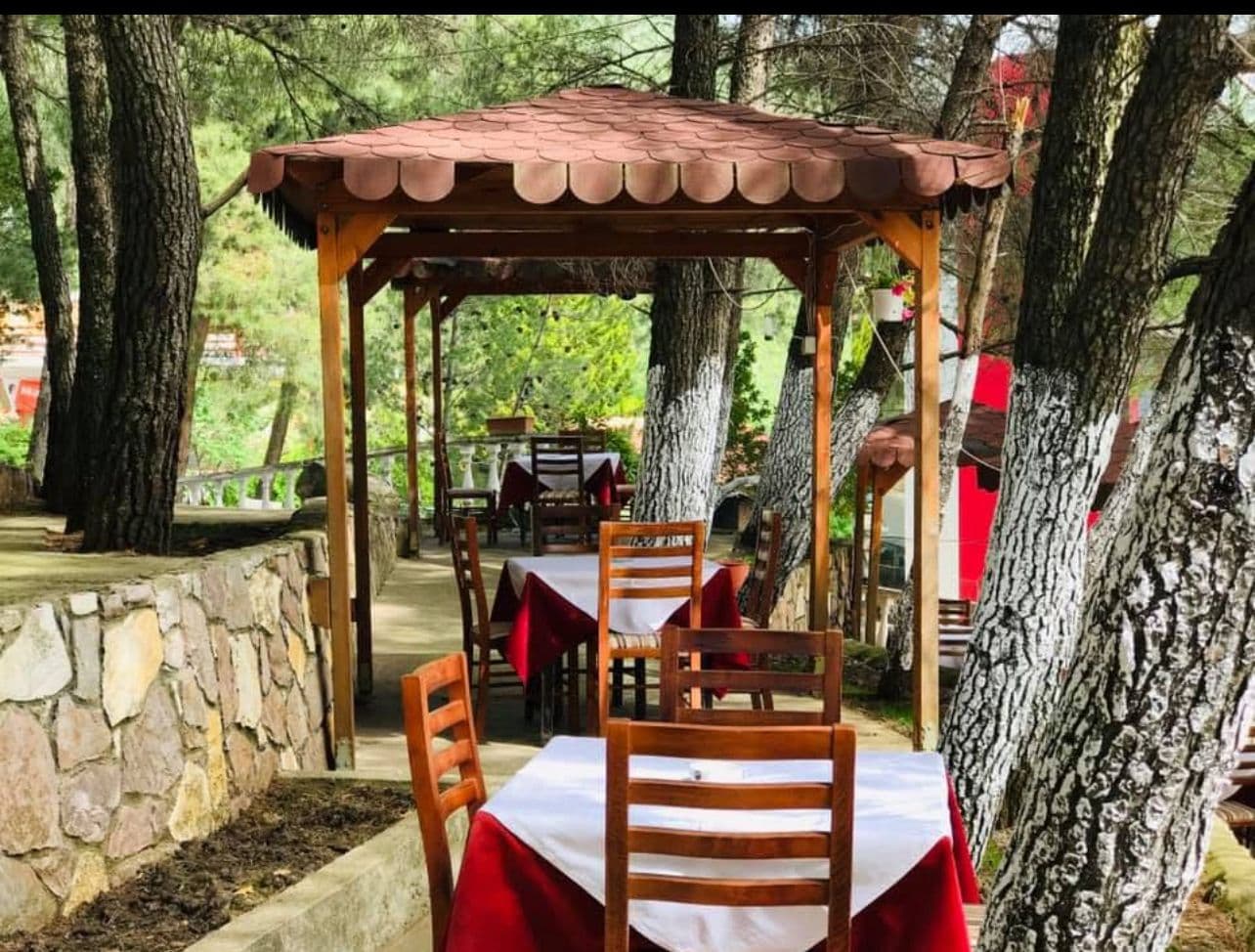Jepet me qera Bar Restorant , Ne rrugen e Dajtit