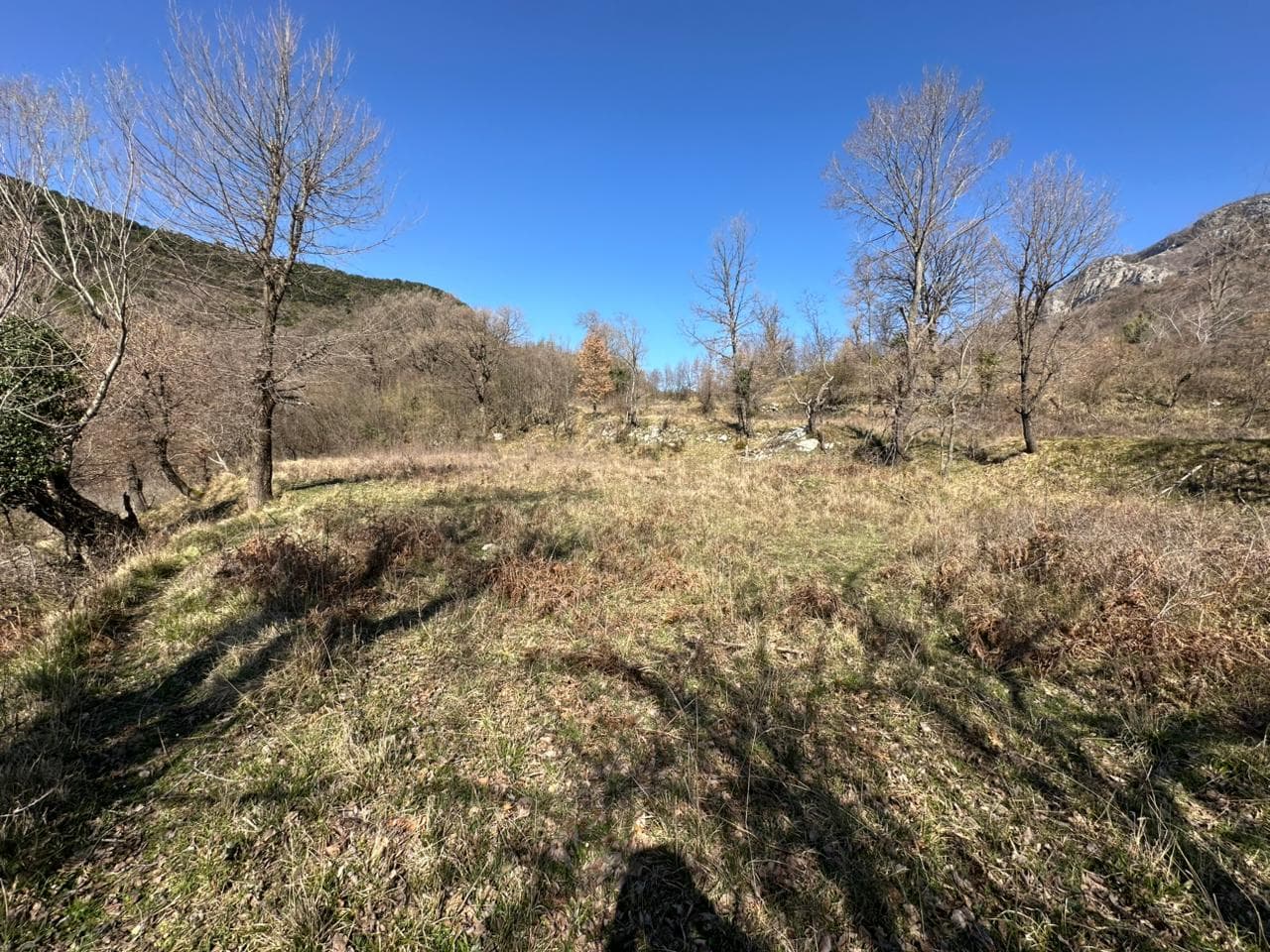 Tokë Për Shitje në Linzë, Tiranë - 90,000€ | 1200 m² 3