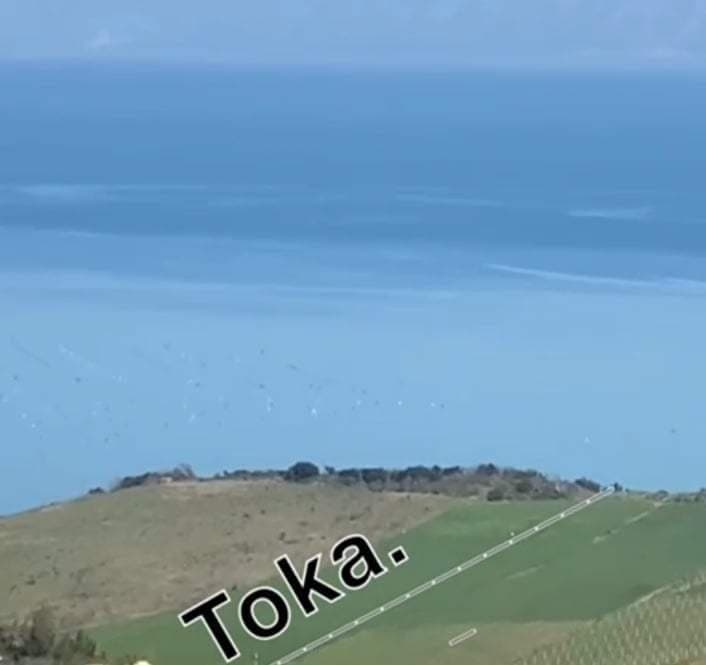 Shitet Toke ne Ishem (Afer Kepit te Rodonit). 1
