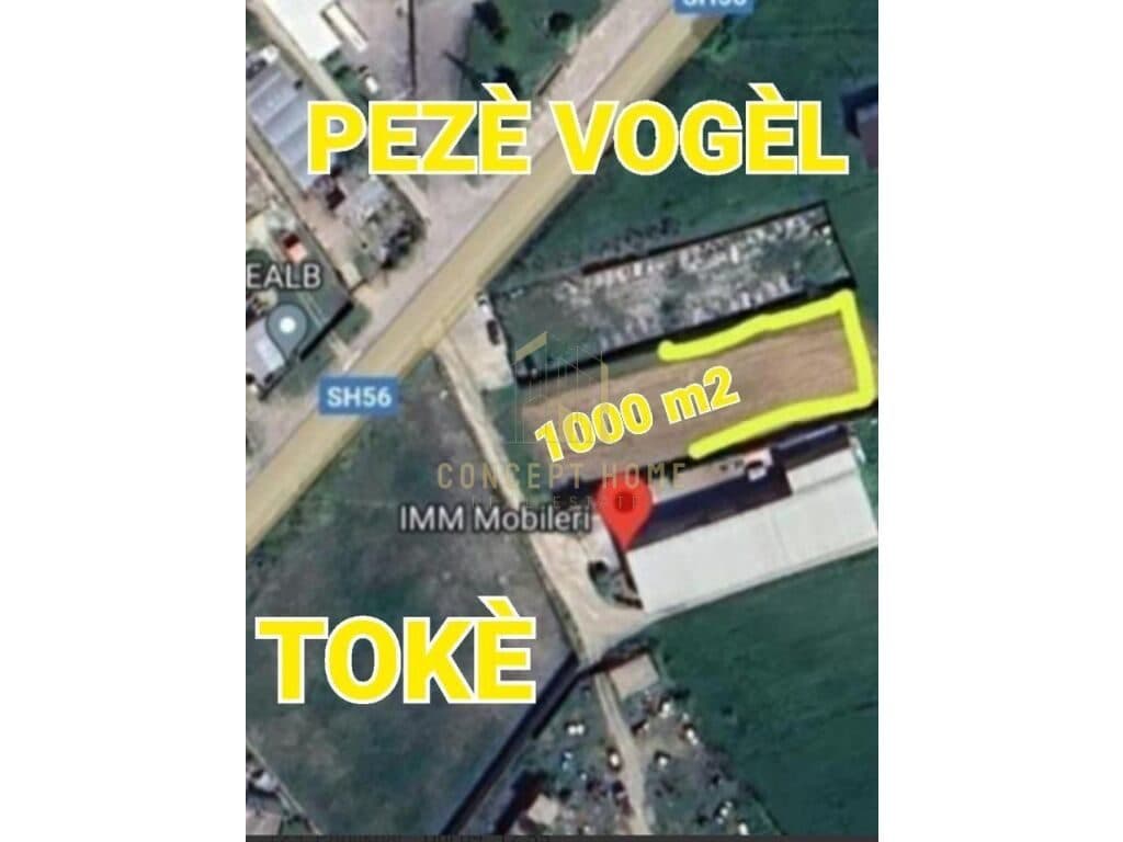 Shitet toke truall ne Peze te Vogel.