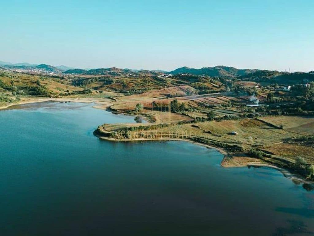 Shitet Toke tek Liqeni i Kasharit 2