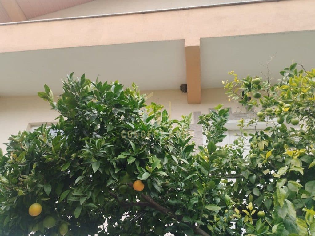 Shtëpi 4+1+2 Në Shitje në Selitë, Tirana - 235,000€ | 176 m² 2