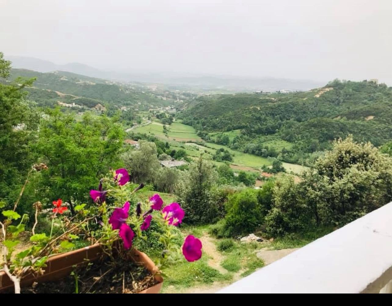Jepet me qera Bar Restorant , Ne rrugen e Dajtit 2