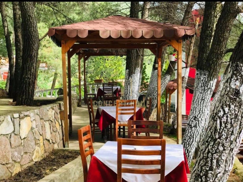 Jepet me qera Bar Restorant , Ne rrugen e Dajtit