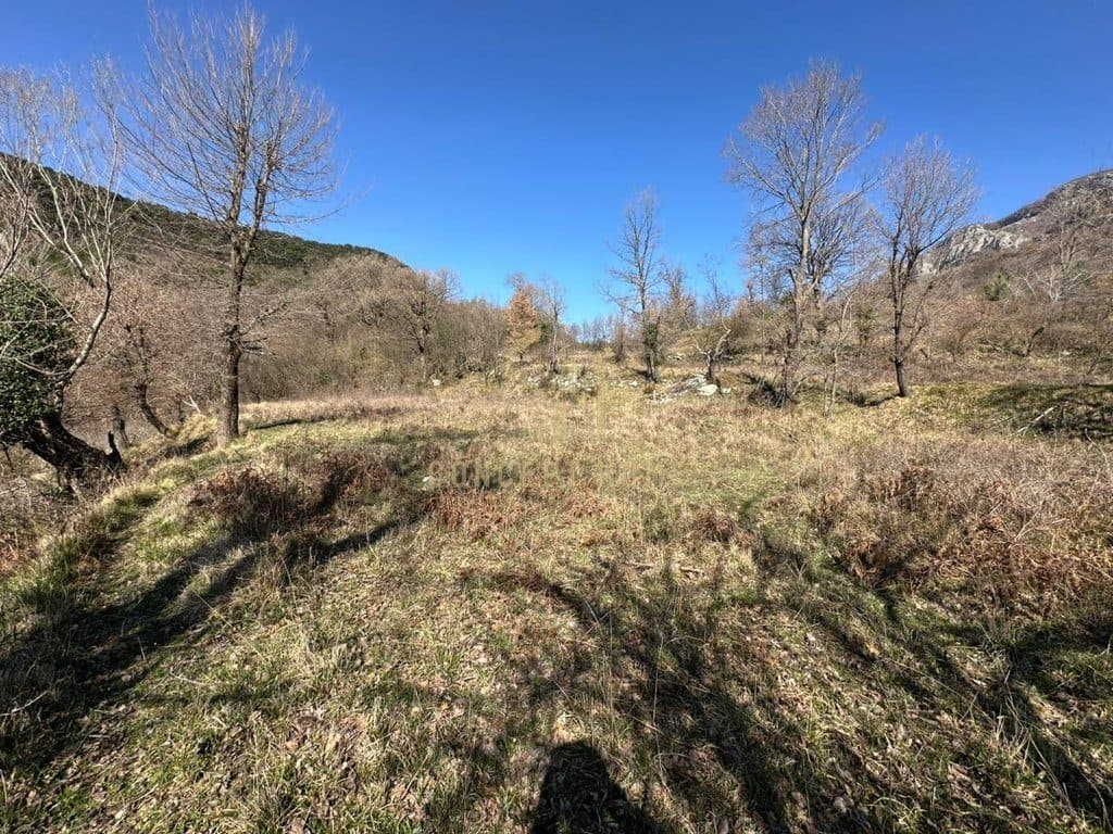 Tokë Për Shitje në Linzë, Tiranë - 90,000€ | 1200 m² 3