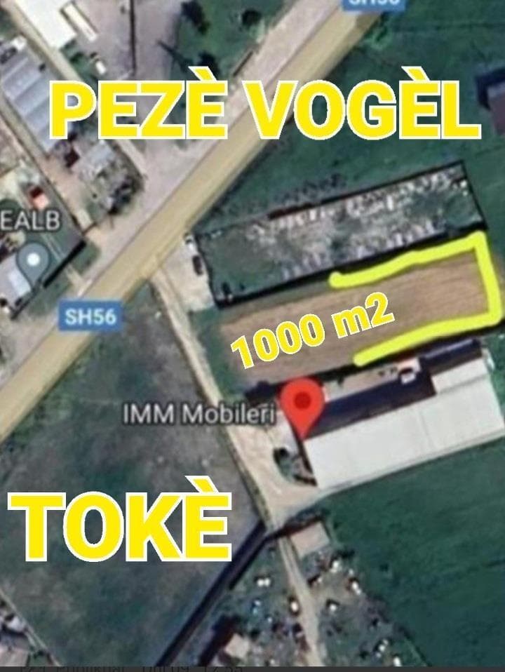Shitet toke truall ne Peze te Vogel.