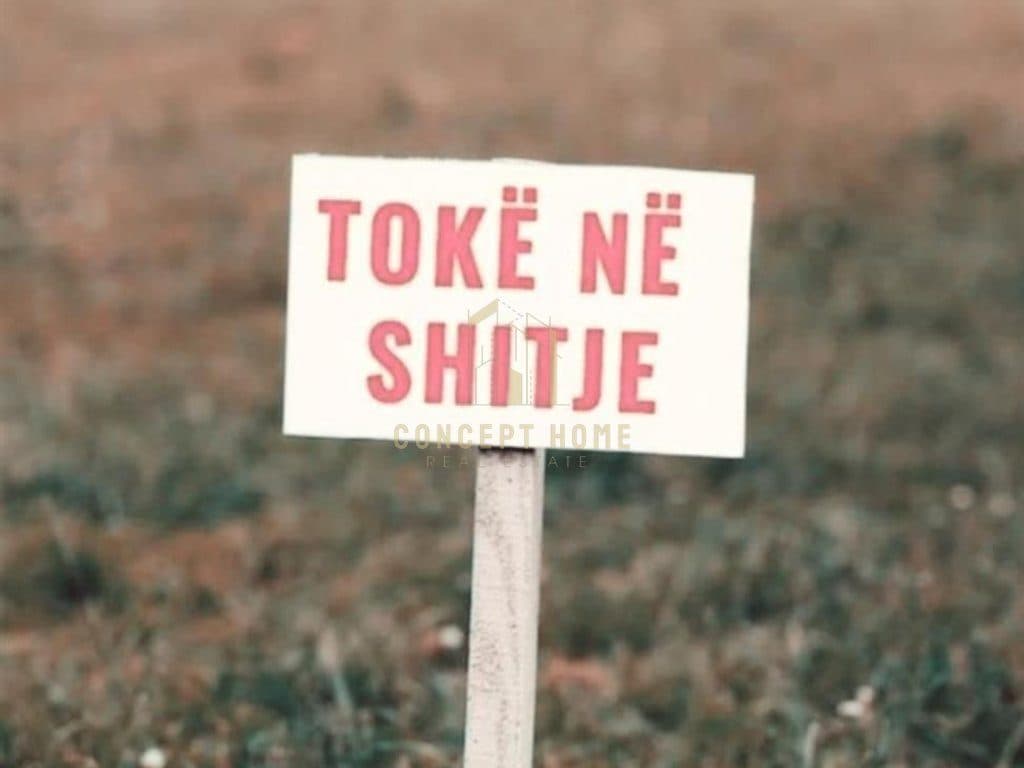 Shitet Toke ne Mezez