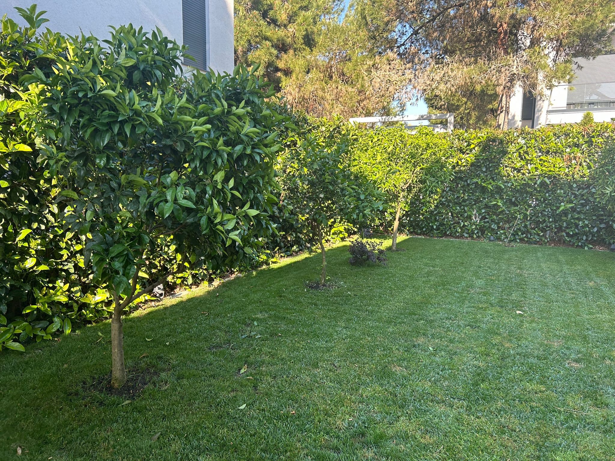 Shitet Vile 2 kateshe ne Hamallaj (Valamar) 3