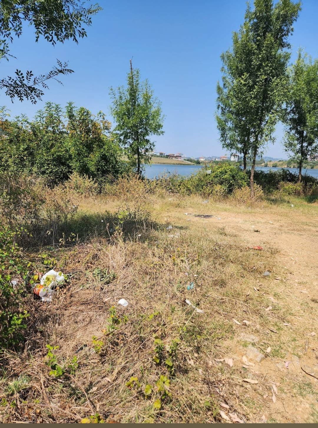 Shitet Toke tek Liqeni i Kasharit 4