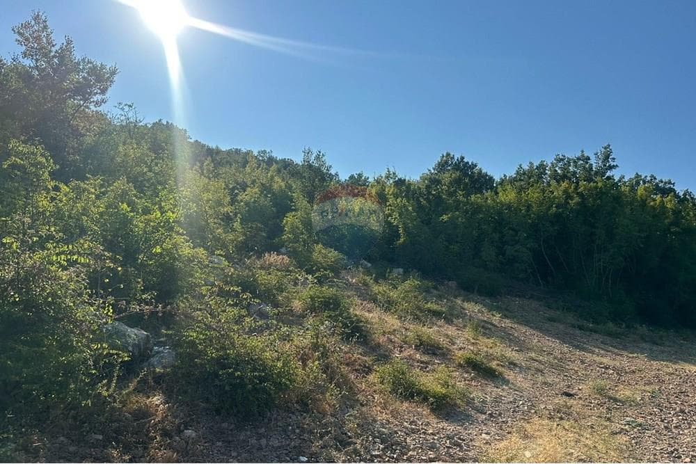 Toke Per Ndertim - Në Shitje - Rana Hedhun, Lezhë