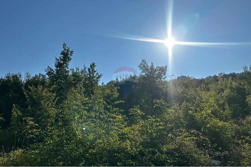 Toke Per Ndertim - Në Shitje - Rana Hedhun, Lezhë