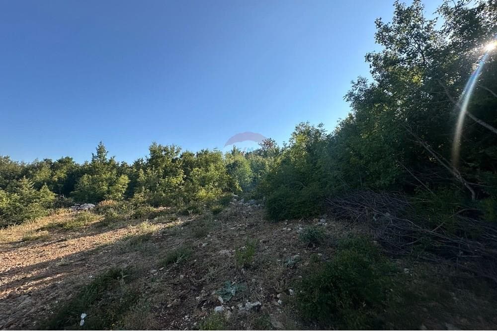 Toke Per Ndertim - Në Shitje - Rana Hedhun, Lezhë