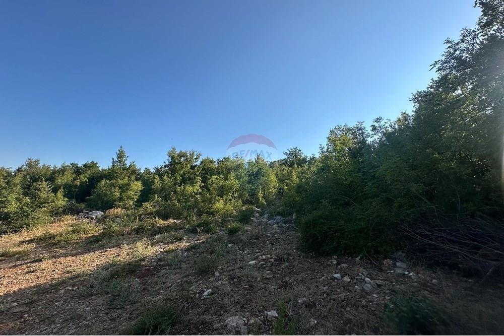 Toke Per Ndertim - Në Shitje - Rana Hedhun, Lezhë