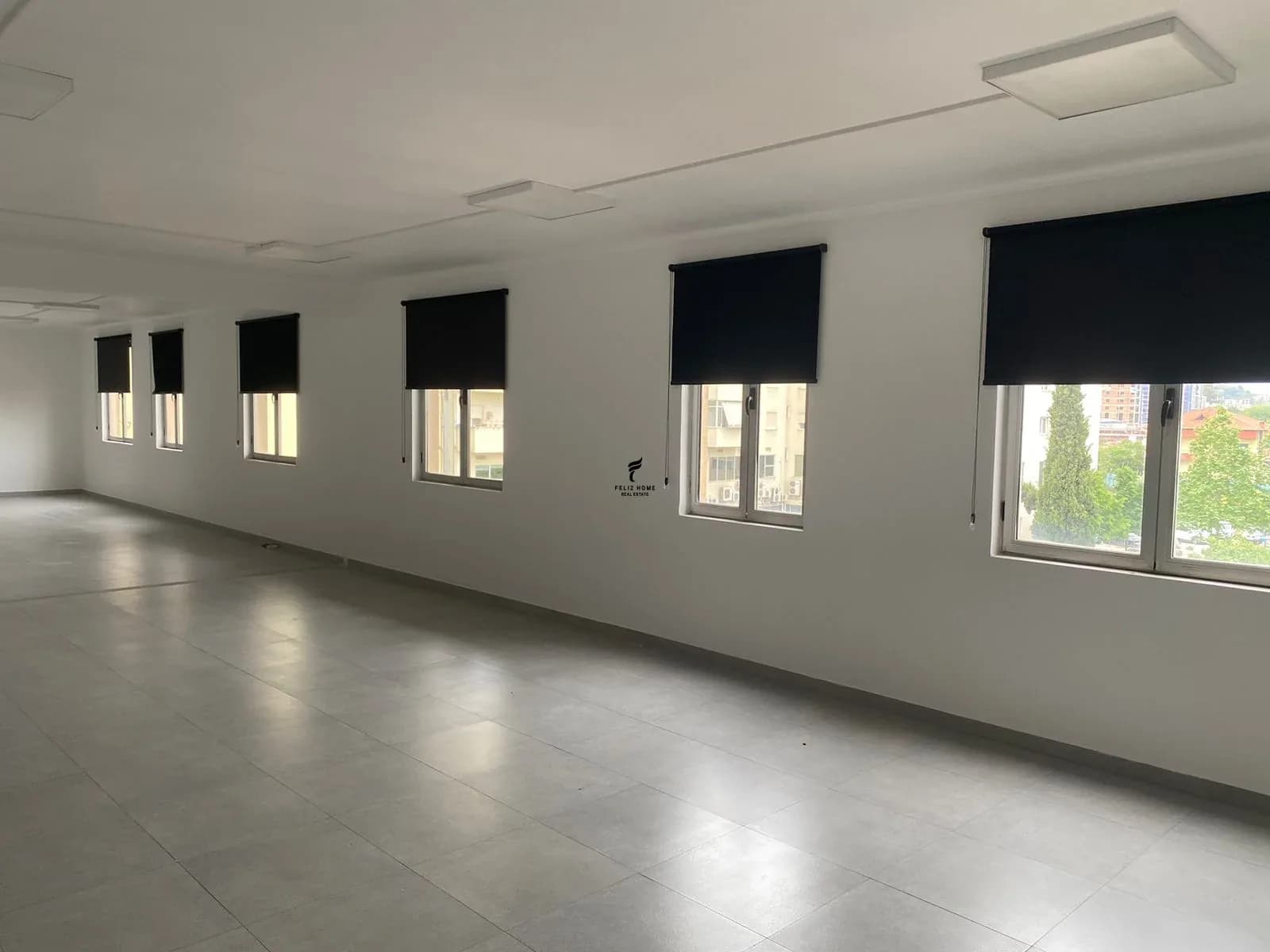 GODINE BIZNESI ME QERA 2000 M2 DELIJORGJI 14.000 EURO NETO 3