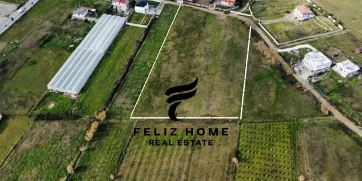 SHITET TRUALL 7000M2 PRUSH 700.000 EURO 2